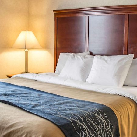 Comfort Inn & Suites Kent - University Area Ngoại thất bức ảnh