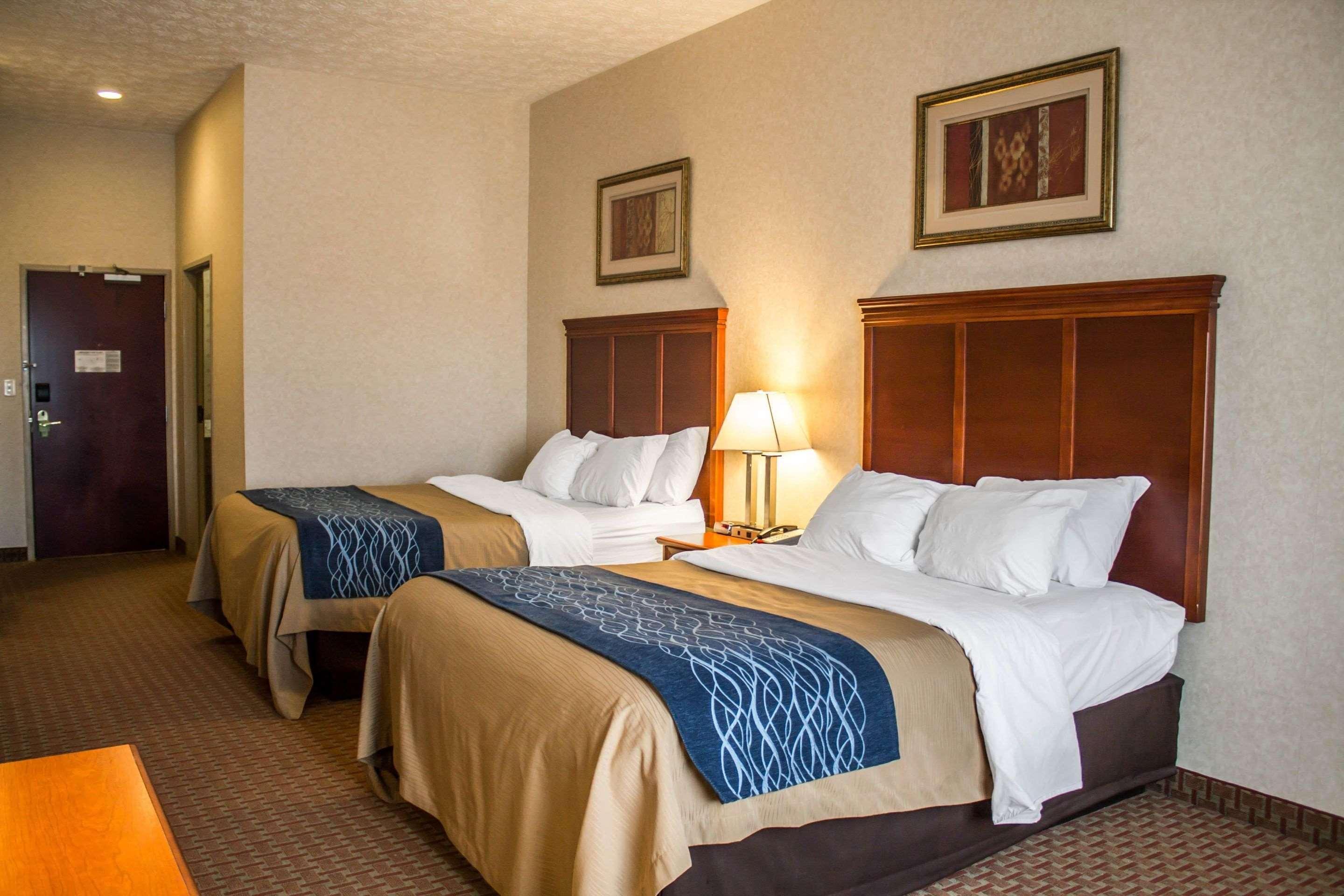 Comfort Inn & Suites Kent - University Area Ngoại thất bức ảnh