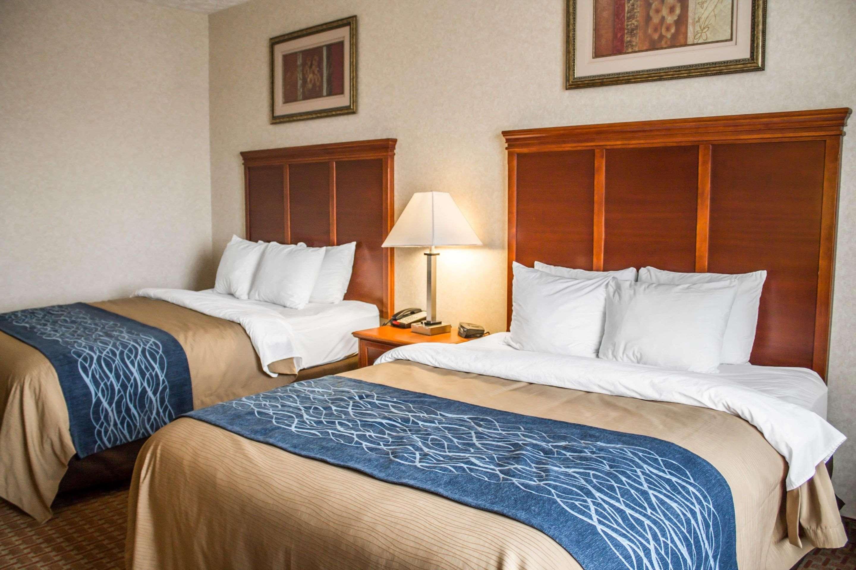 Comfort Inn & Suites Kent - University Area Ngoại thất bức ảnh
